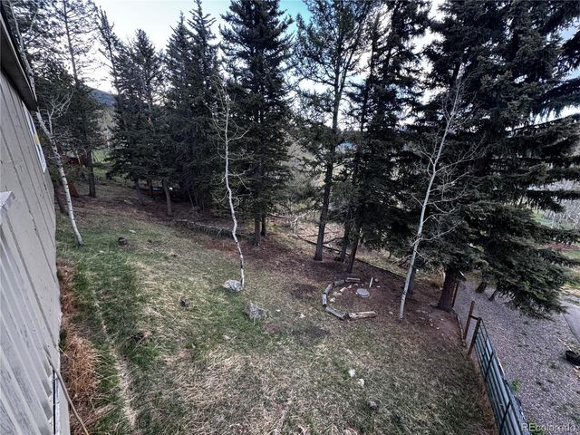 949 S Pine Drive, Bailey, CO 80421