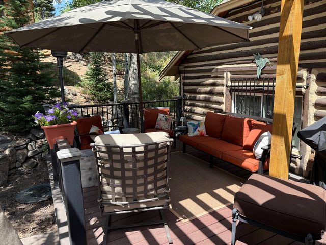 124 Ski Rd, Allenspark, CO 80510