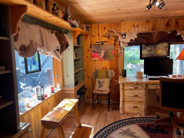 124 Ski Rd, Allenspark, CO 80510