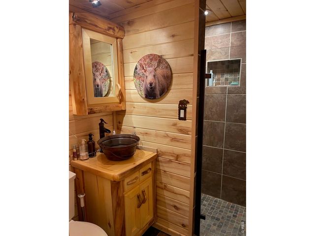124 Ski Rd, Allenspark, CO 80510