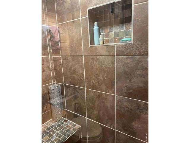 124 Ski Rd, Allenspark, CO 80510