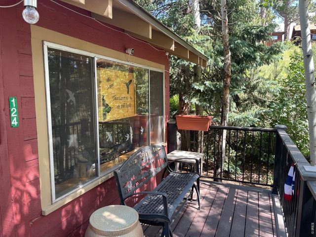 124 Ski Rd, Allenspark, CO 80510