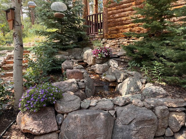 124 Ski Rd, Allenspark, CO 80510
