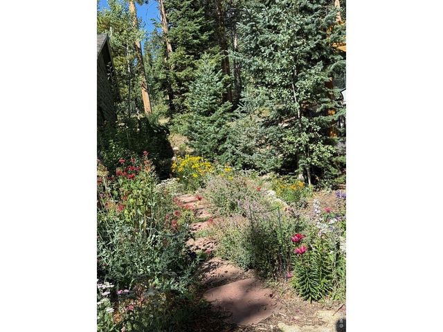 124 Ski Rd, Allenspark, CO 80510