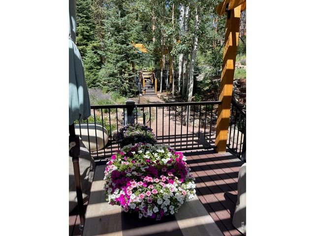 124 Ski Rd, Allenspark, CO 80510