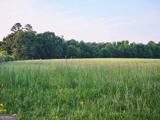 0 Welcome Road, Tract 3, Roopville, GA 30170