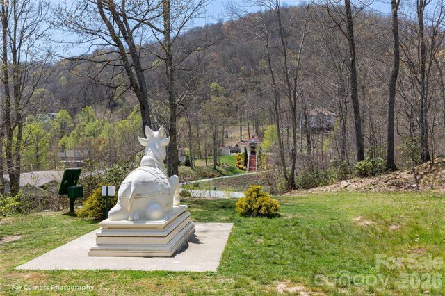 14 Lila Lane, Clyde, NC 28721