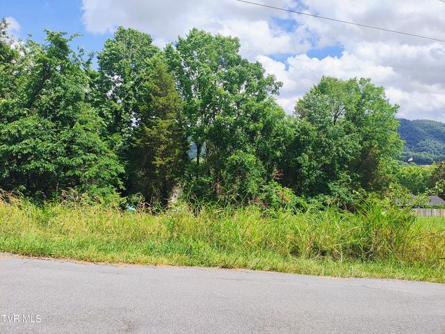 Lot 13 Mountain View Drive, Bristol, TN 37620