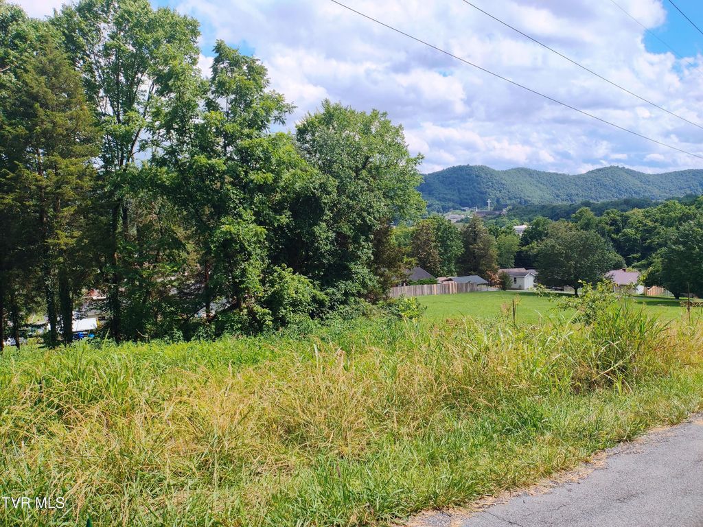 Lot 13 Mountain View Drive, Bristol, TN 37620