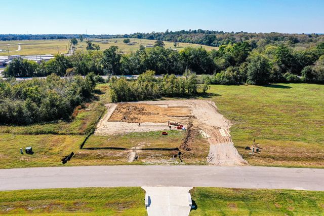 24933 Hopeview Way, Montgomery, TX 77316