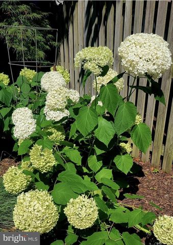 1120 POWHATAN ST, Alexandria, VA 22314