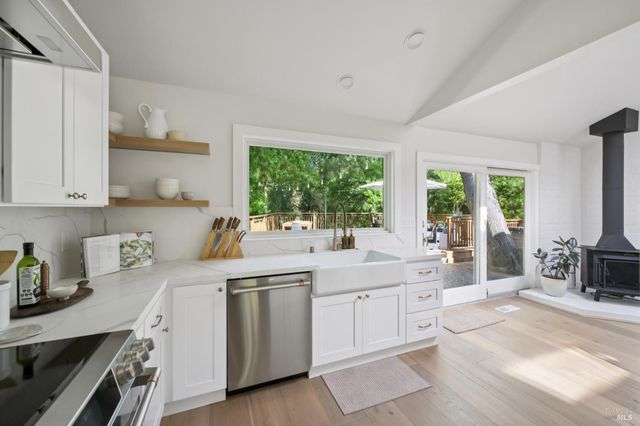 14 Mount Wittenburg Ct, San Rafael, CA 94903