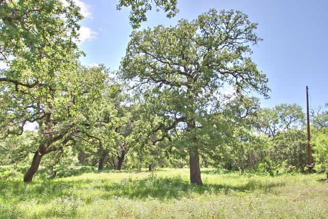 0 County Road 110, Burnet, TX 78611