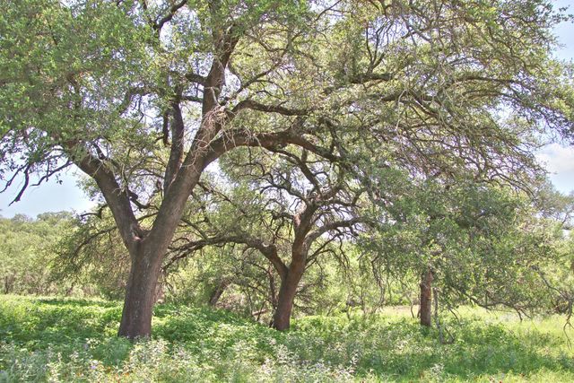 0 County Road 110, Burnet, TX 78611
