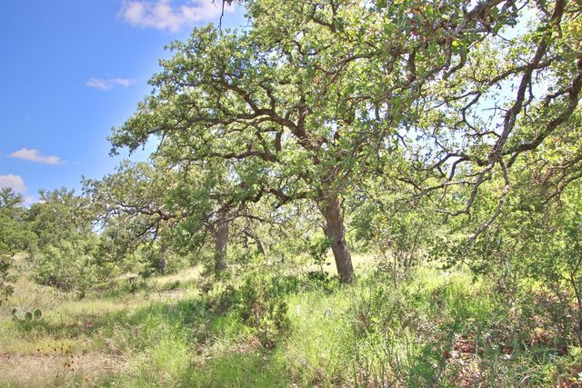 0 County Road 110, Burnet, TX 78611