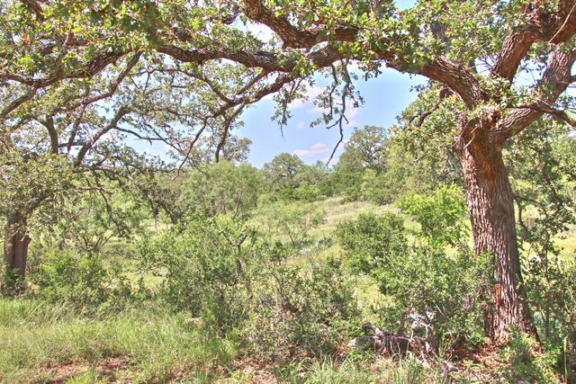 0 County Road 110, Burnet, TX 78611
