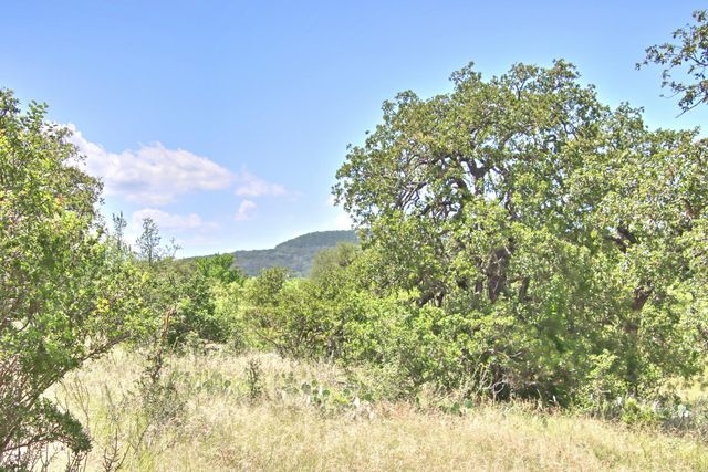 0 County Road 110, Burnet, TX 78611