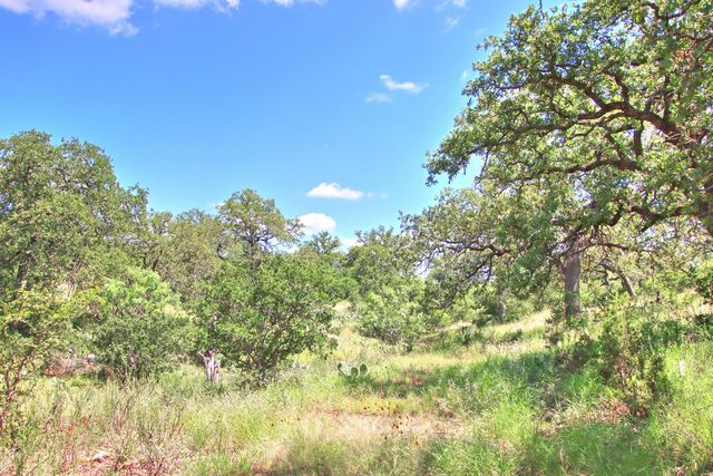 0 County Road 110, Burnet, TX 78611