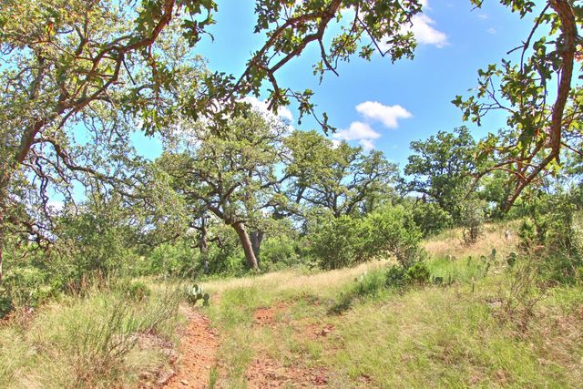 0 County Road 110, Burnet, TX 78611