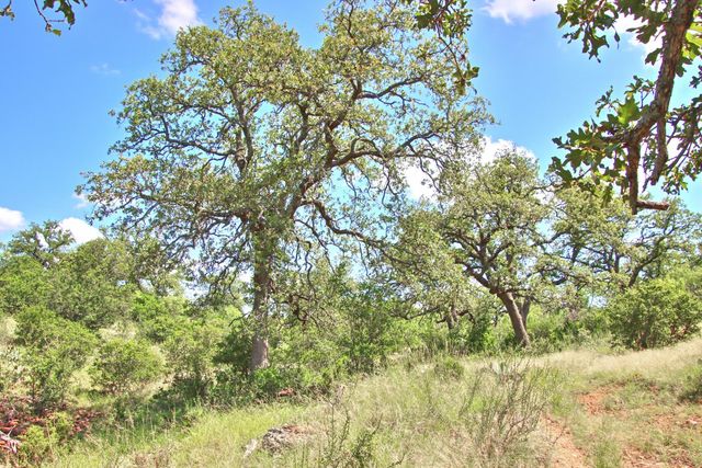 0 County Road 110, Burnet, TX 78611