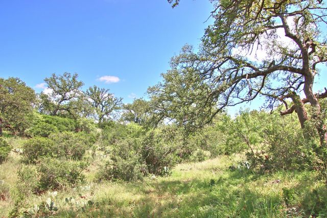 0 County Road 110, Burnet, TX 78611