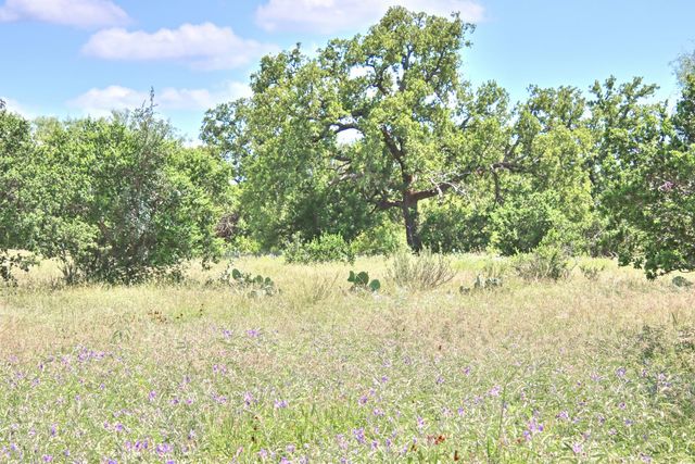 0 County Road 110, Burnet, TX 78611