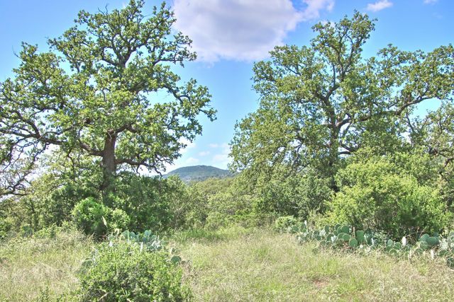 0 County Road 110, Burnet, TX 78611