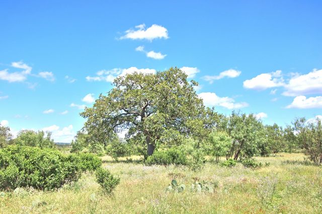 0 County Road 110, Burnet, TX 78611