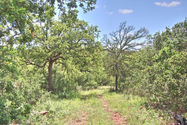 0 County Road 110, Burnet, TX 78611