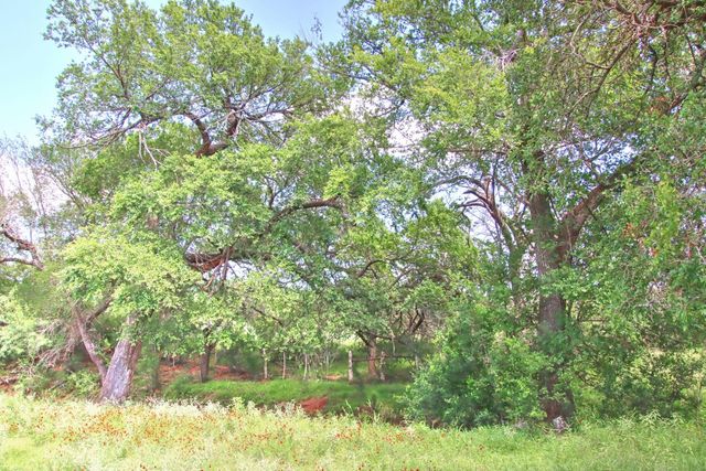 0 County Road 110, Burnet, TX 78611