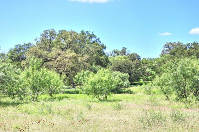 0 County Road 110, Burnet, TX 78611