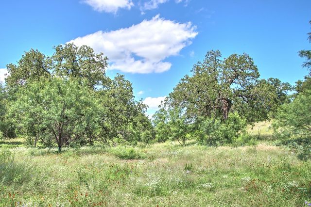 0 County Road 110, Burnet, TX 78611