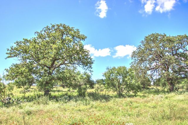 0 County Road 110, Burnet, TX 78611
