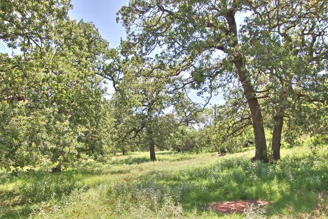 0 County Road 110, Burnet, TX 78611