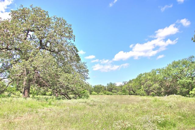 0 County Road 110, Burnet, TX 78611