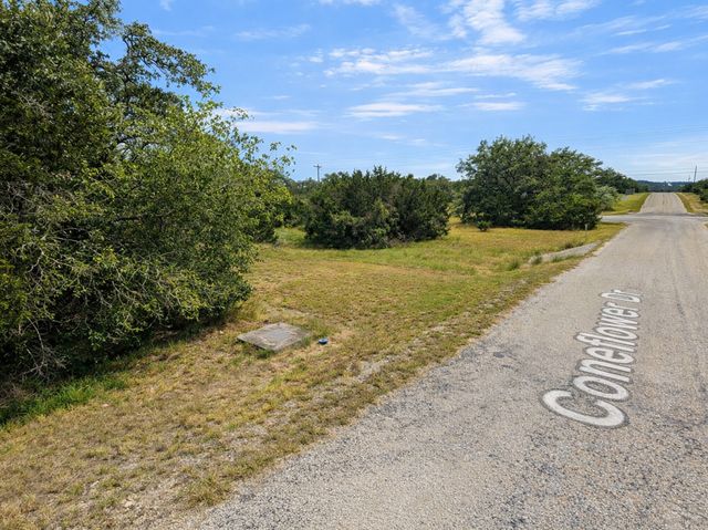 210 Coneflower, Spring Branch, TX 78070