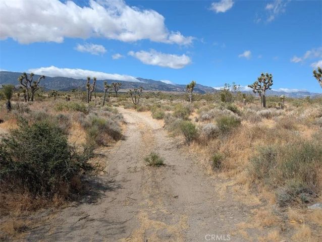 27 248th, Llano, CA 93544