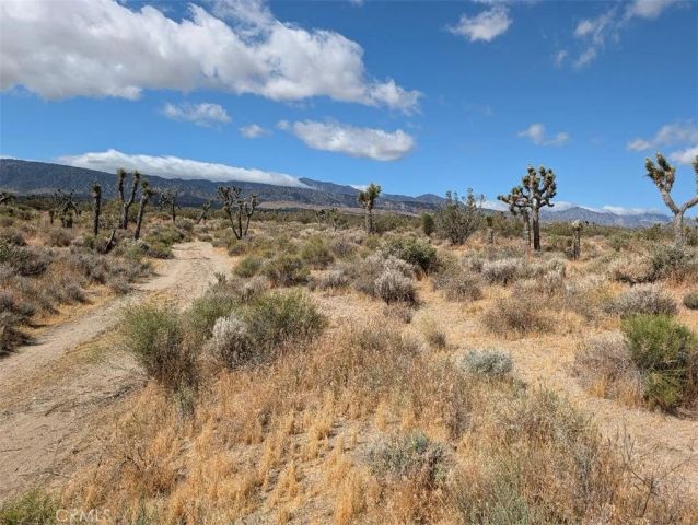 27 248th, Llano, CA 93544