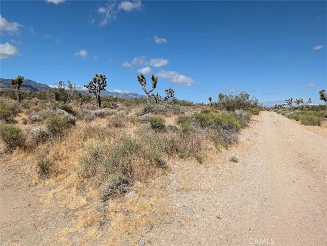 27 248th, Llano, CA 93544