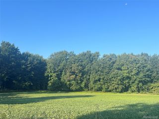 01 Howland Road, Almont Township, MI 48003