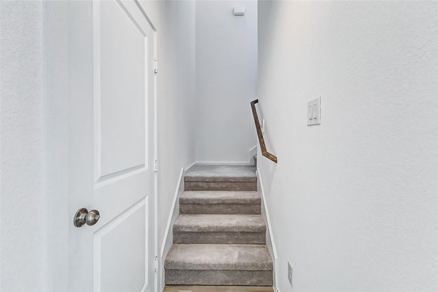 21438 Carosella Drive, New Caney, TX 77357