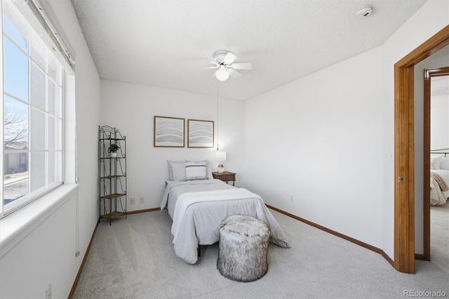 133 Rockaway Avenue, Castle Rock, CO 80104