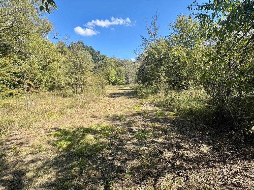 648 CR 4618, Wolfe City, TX 75496