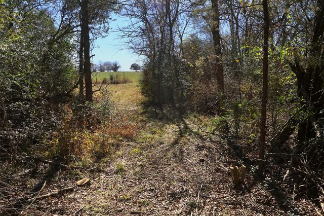 5.002 Acres Winding Meadow Drive, Bedias, TX 77831