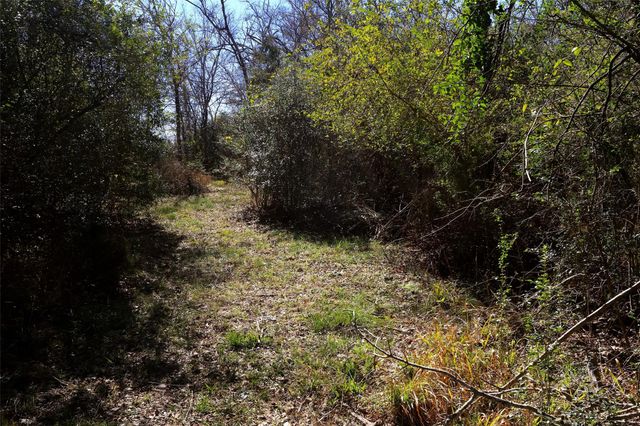 5.002 Acres Winding Meadow Drive, Bedias, TX 77831