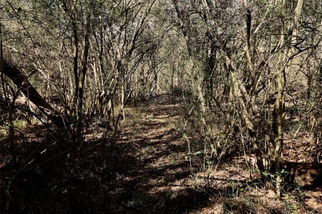 5.002 Acres Winding Meadow Drive, Bedias, TX 77831