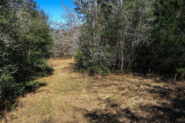 5.002 Acres Winding Meadow Drive, Bedias, TX 77831