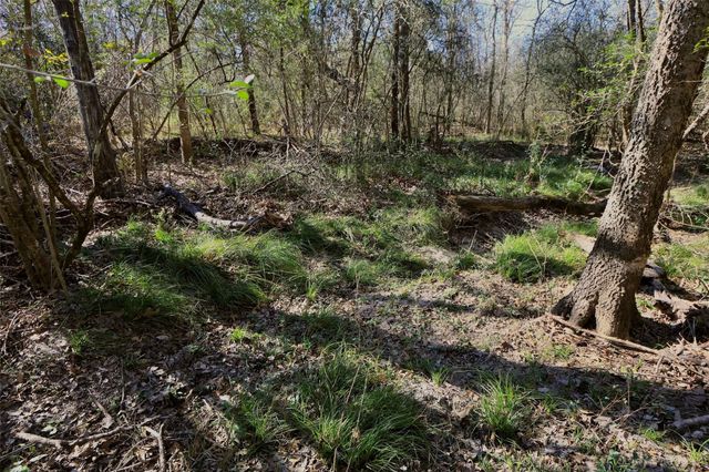 5.002 Acres Winding Meadow Drive, Bedias, TX 77831