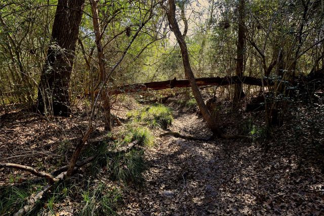 5.002 Acres Winding Meadow Drive, Bedias, TX 77831