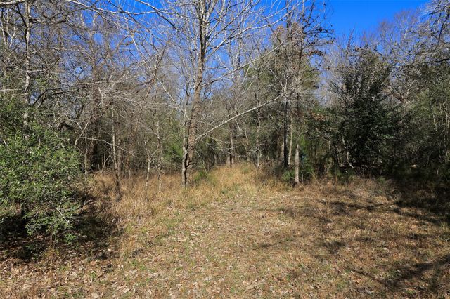 5.002 Acres Winding Meadow Drive, Bedias, TX 77831